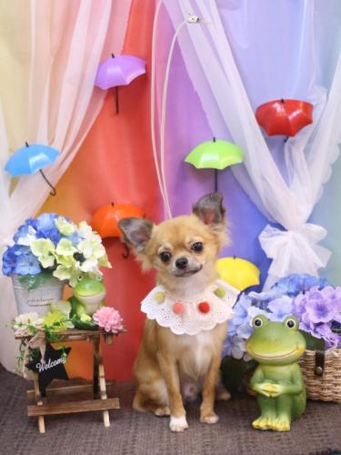 20230624れおくん